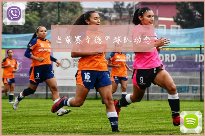 当前赛季德甲球队动态