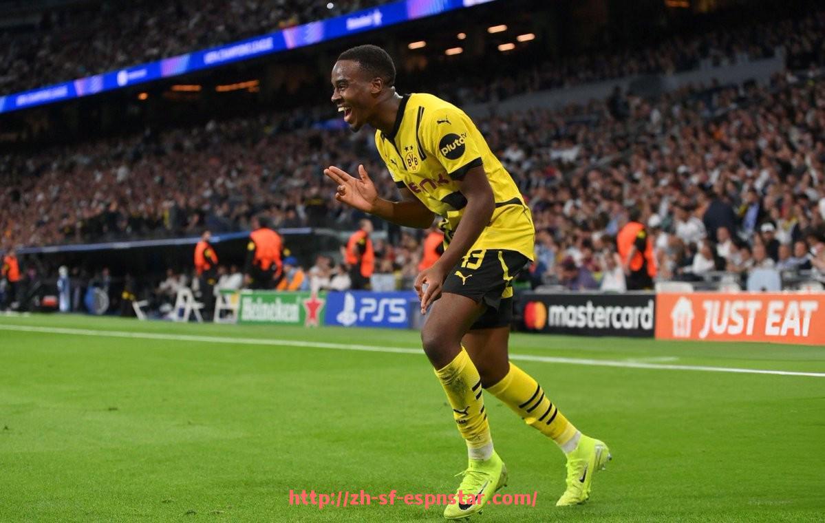 五大联赛直播-世俱杯比赛规则详解帮助球迷深入理解赛事流程